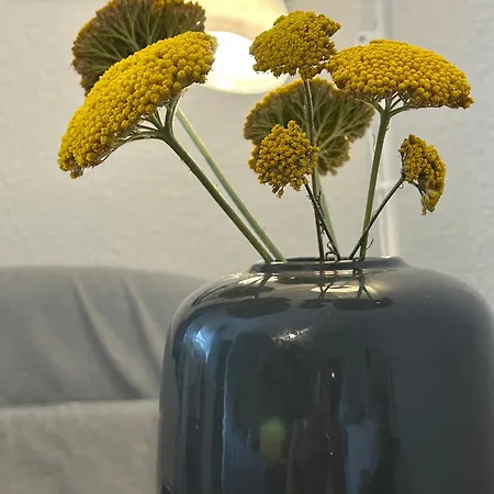 Appartement Nordicasa *