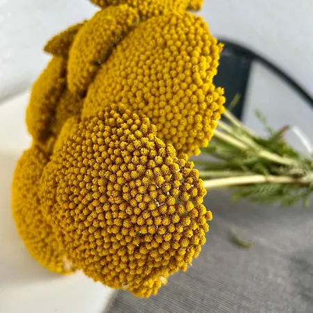 Apartment Nordicasa *